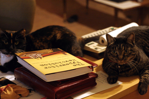 Two out of Three cats agree; Richard Polt's "The Typewriter Revolution" is well worth curling up next to!